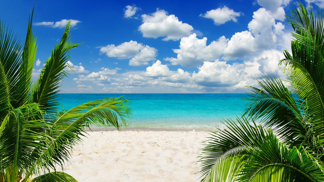 Essential beach buys you can’t do without this summer