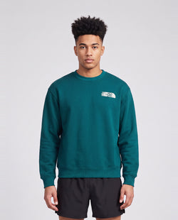 Men's The North Face Retro Trail Relaxed Crew Sweatshirt Pacific Teal — on model