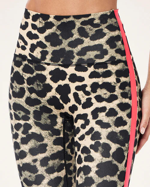 Leopard print leggings with a pink side stripe on a white background