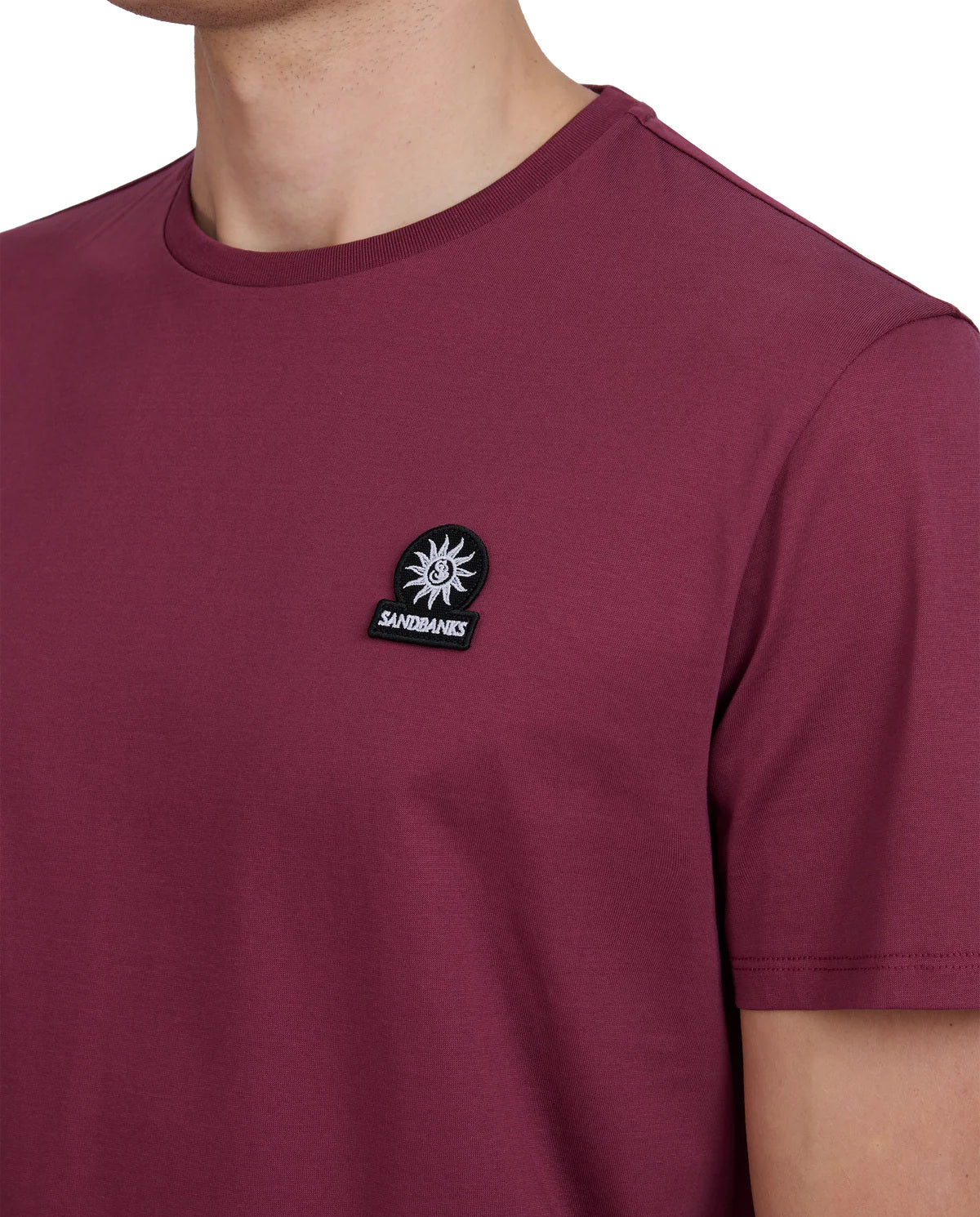Men's Sandbanks Mercerised Badge T-Shirt in Port — view 3