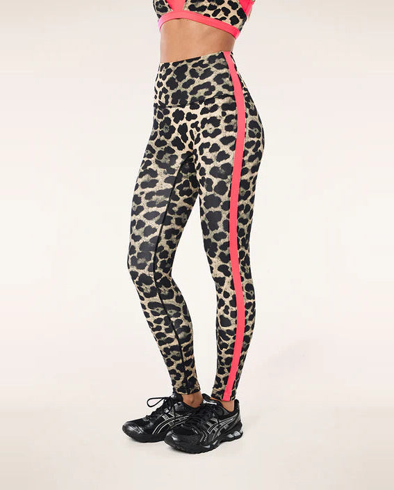 Leopard print leggings with pink side stripes worn by a person on a white background