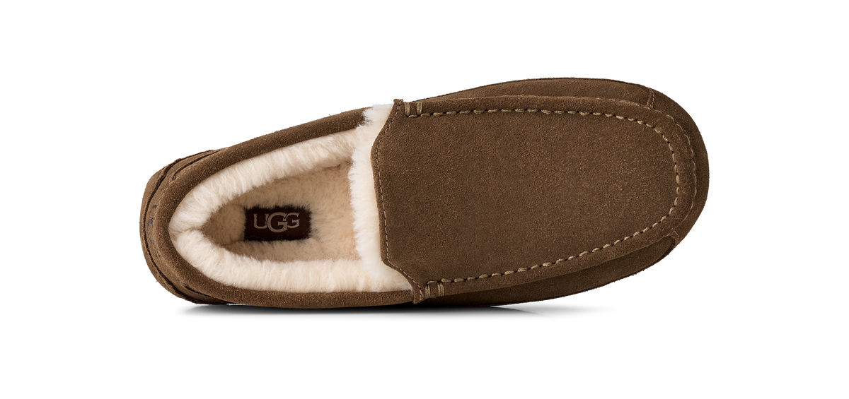 Mens UGG Ascot Light Bronze Slippers — view 2