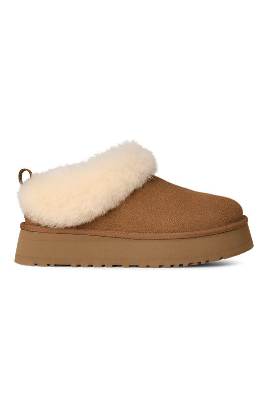 Women's UGG Tazzelle in Chestnut