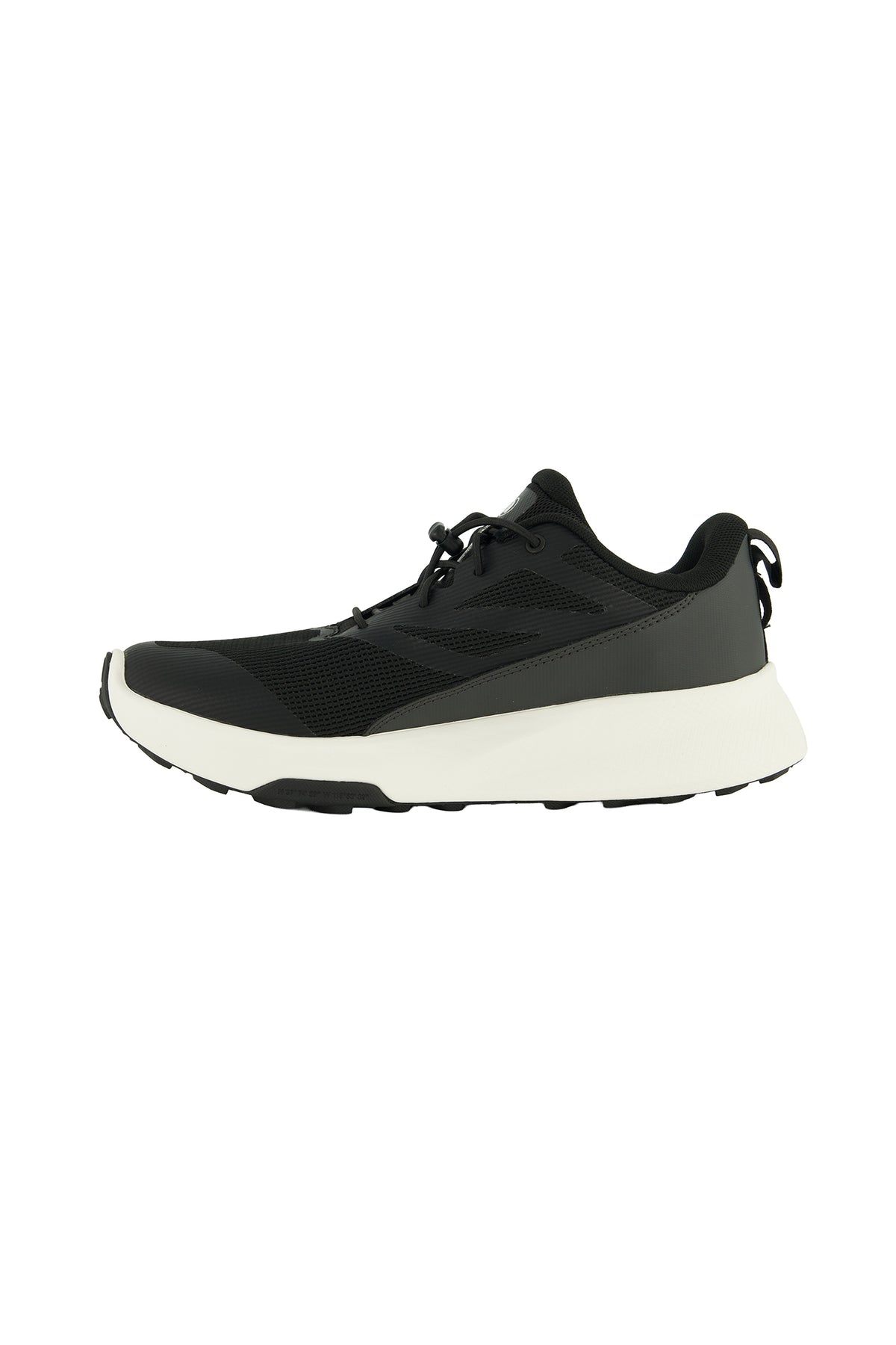 Boys The North Face Youth Altamesa Black Trainers — view 5