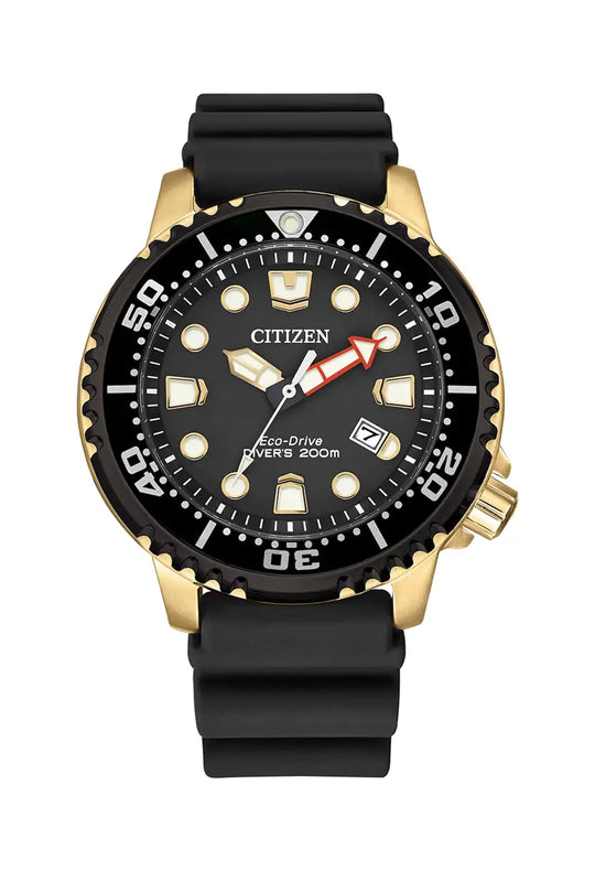 Citizen Mens Eco-Drive Promaster 200M Diver Strap Watch