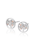Sterling silver & rose gold Tree of Life stud earrings by Clogau. Delicate & elegant design.