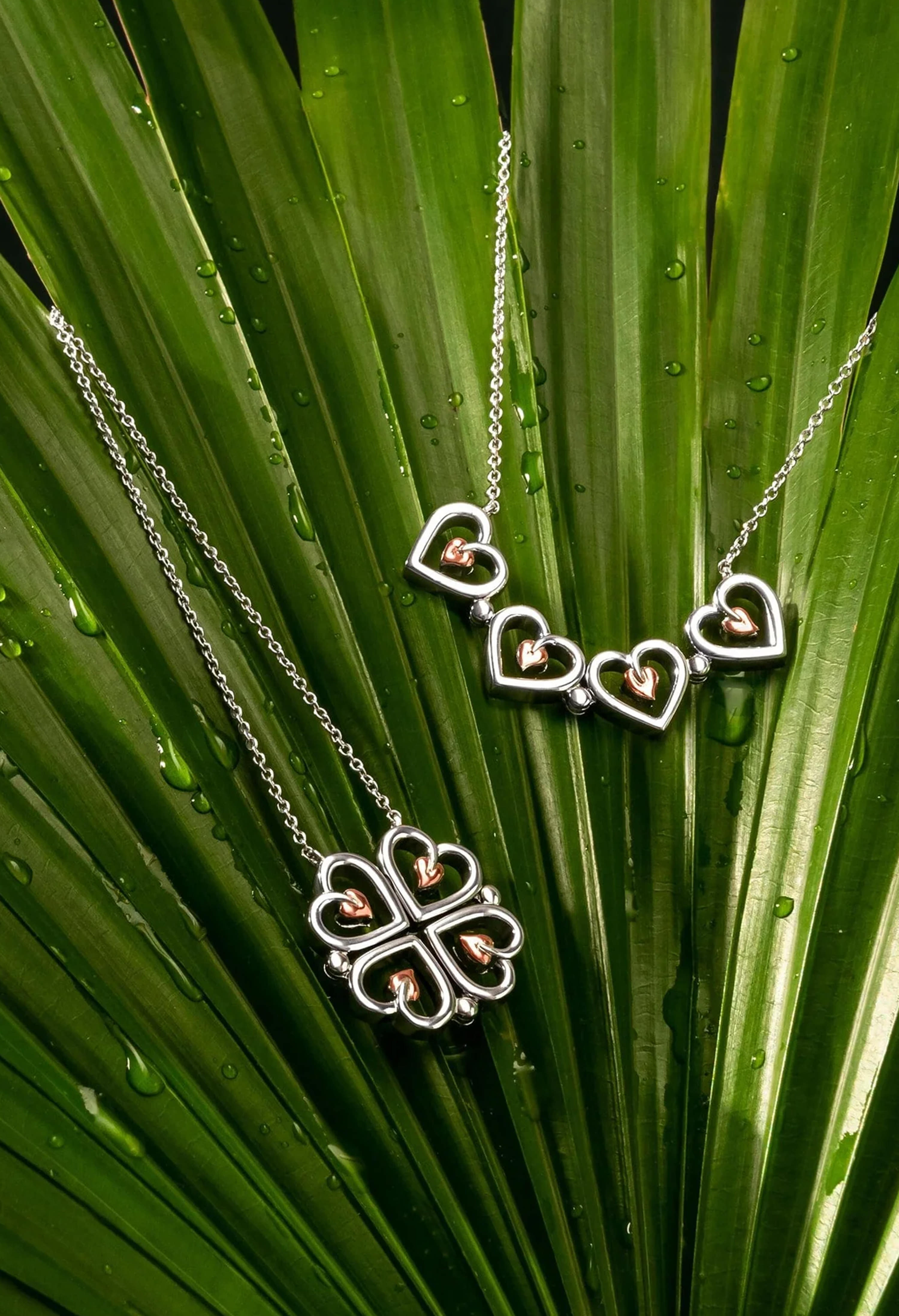 Clogau necklace close-up showing Tree of Life heart pendant and heart link chain on a wet tropical leaf.