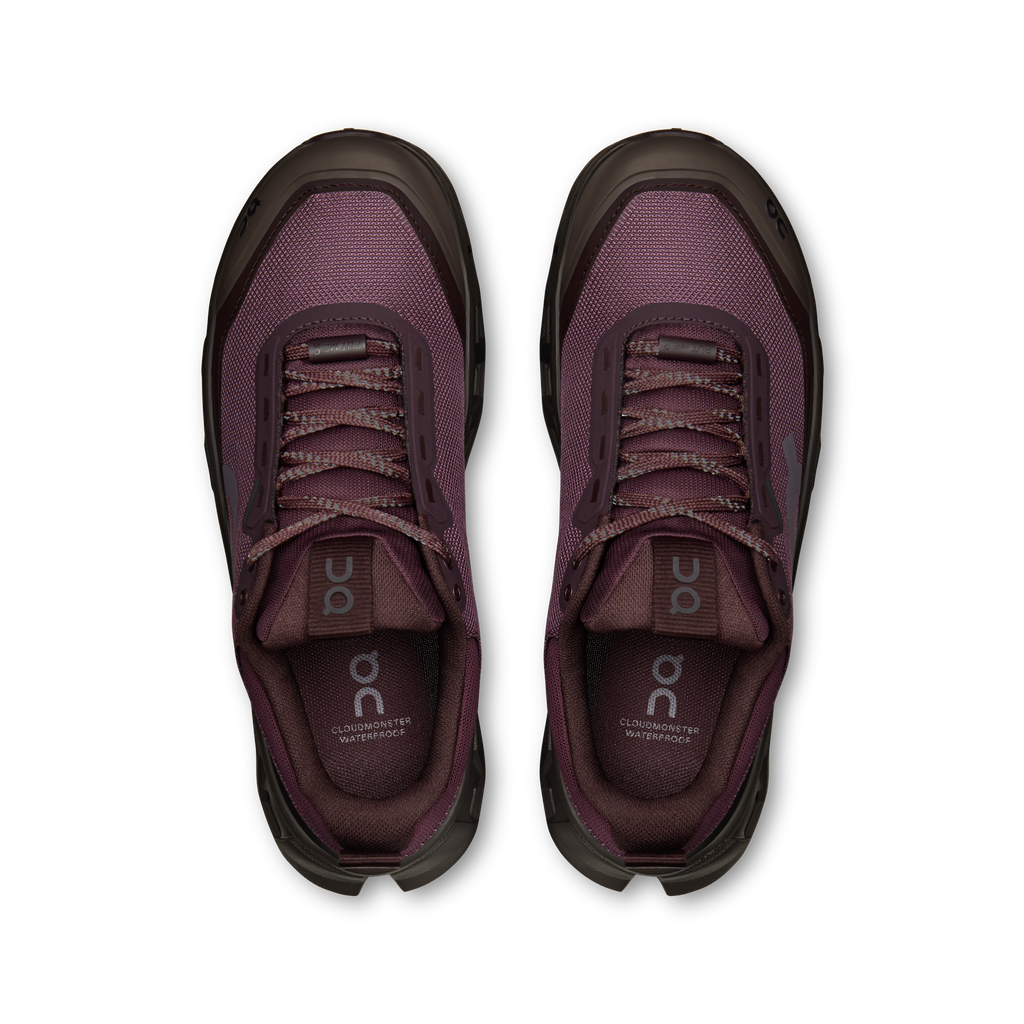 Women's On Running Cloudmonster 1 WP Urchin/Pebble