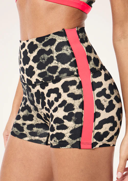 Leopard print shorts with pink trim worn by a person on a white background