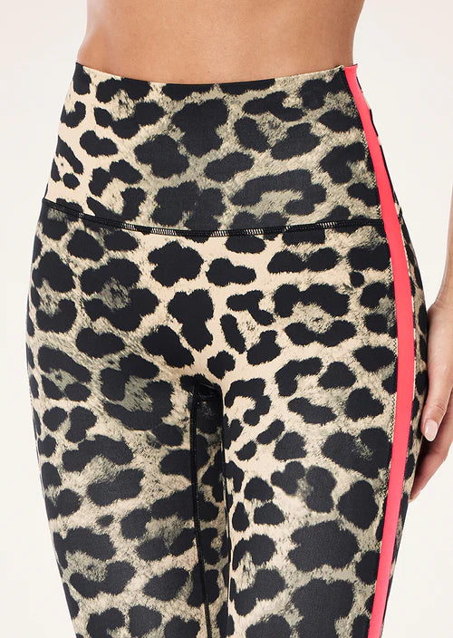 Leopard print leggings with a pink side stripe on a white background