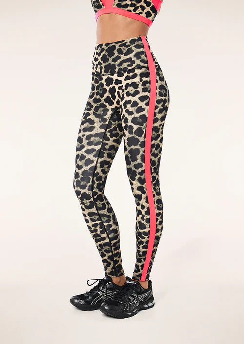 Leopard print leggings with pink side stripes worn by a person on a white background