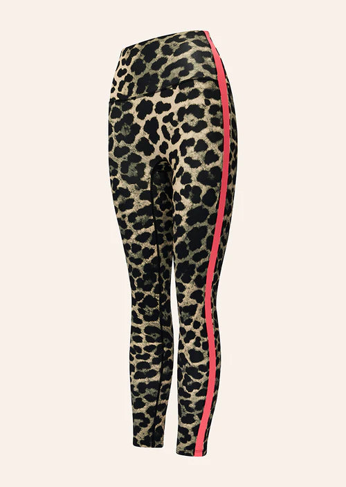 Leopard print leggings with a red stripe on a white background