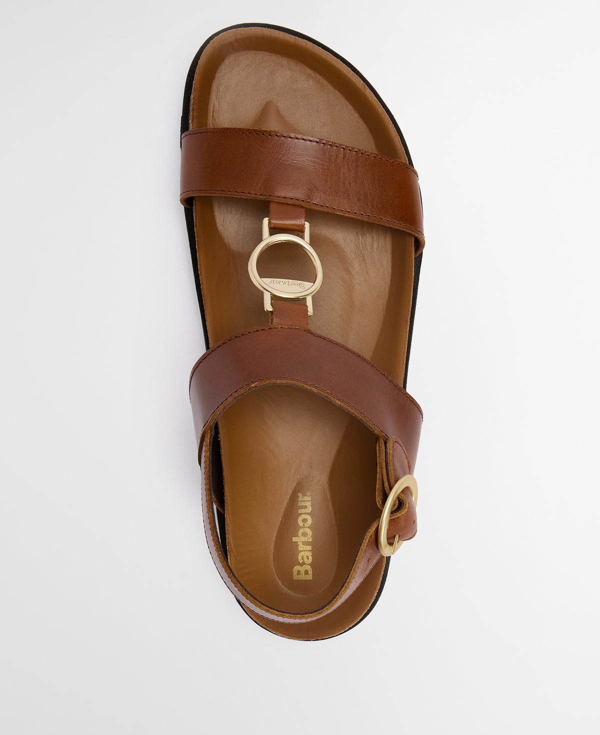 Brown sandal with gold buckle on a white background