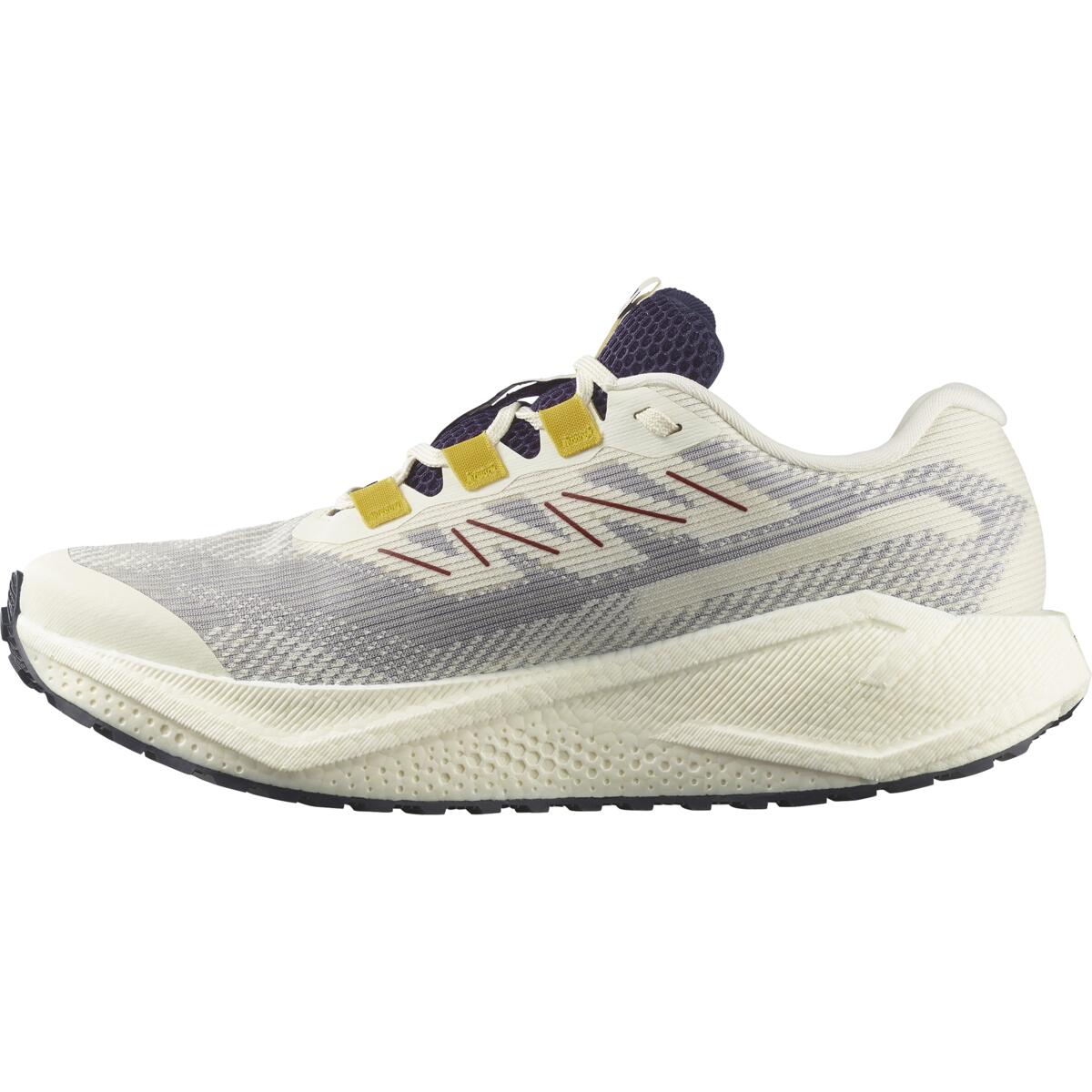 Men's Salomon Aero Blaze 3 GRVL GTX Vanila Ice/Lemon/White Trainers — view 4
