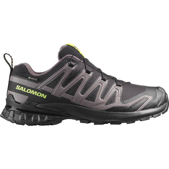 Men's Salomon XA Pro 3D V9 GTX Black Dark Gull Trainers