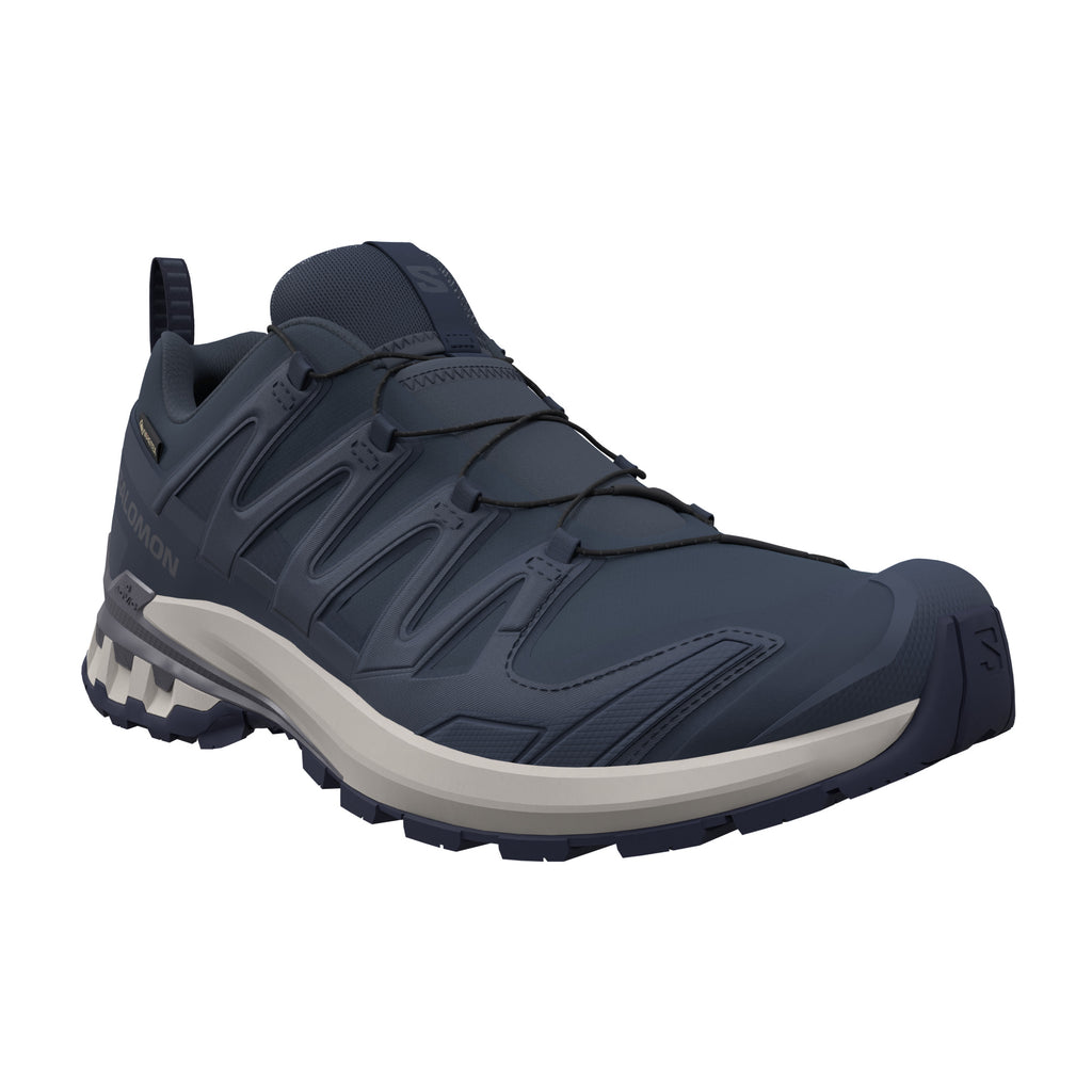 Men's Salomon XA Pro 3D V9 GTX Spellbound Grisaille Trainers — view 3