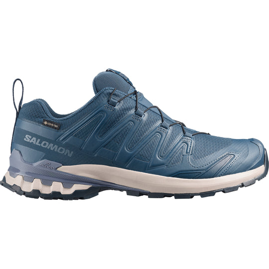 Men's Salomon XA Pro 3D V9 GTX Spellbound Grisaille Trainers