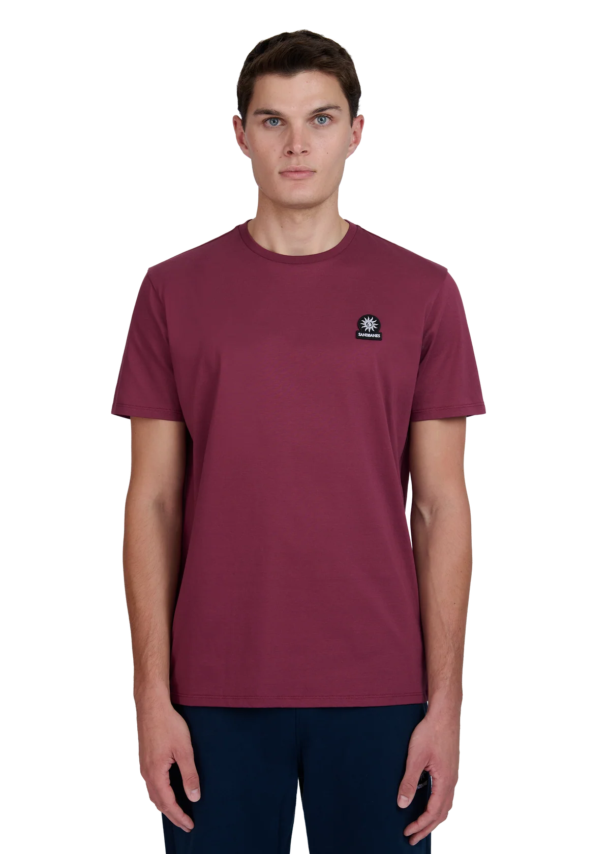 Men's Sandbanks Mercerised Badge T-Shirt in Port — view 2