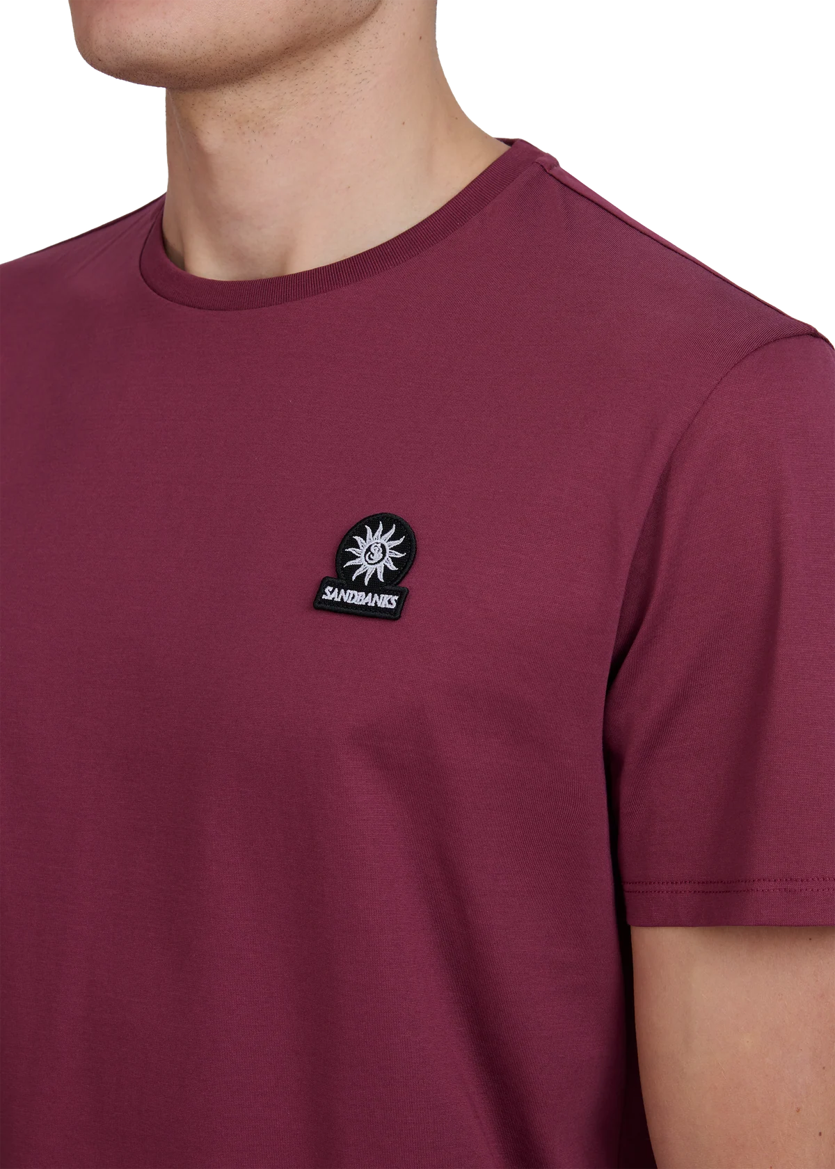 Men's Sandbanks Mercerised Badge T-Shirt in Port — view 3