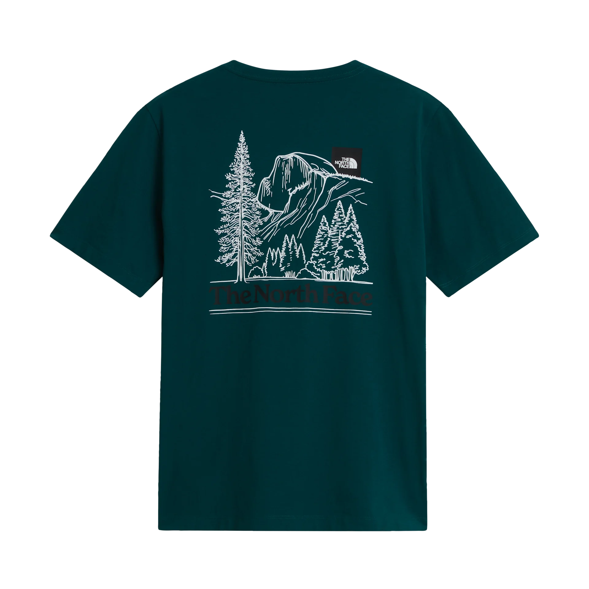 Men's The North Face Monte Regular SS T-Shirt Pacific Teal — view 2