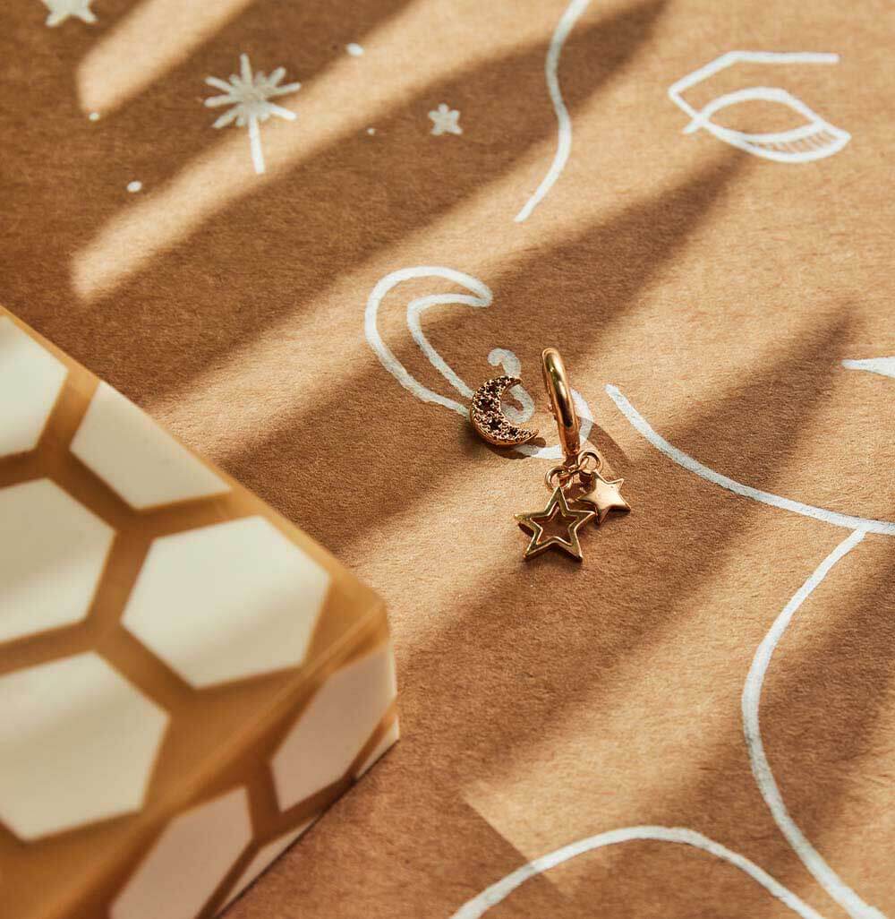 Chlobo Gold Starry Moon Stud Earrings