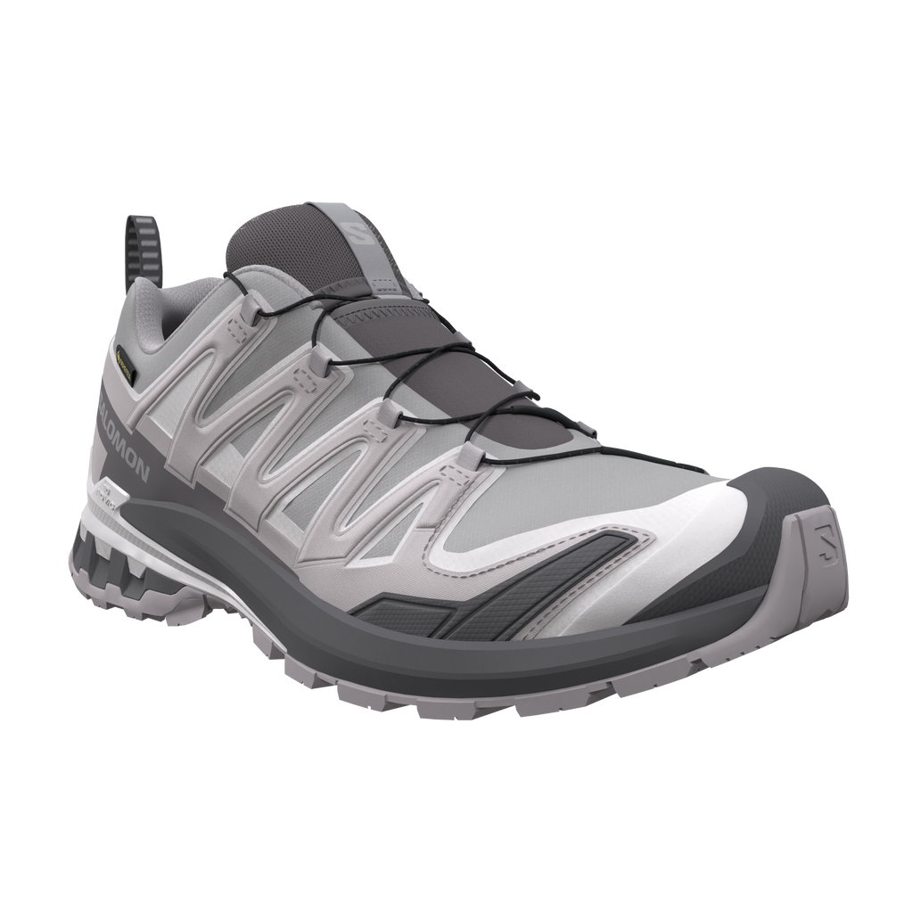 Salomon XA Pro 3D V9 GTX Alloy/Clrock/Lunro Trainers — view 5