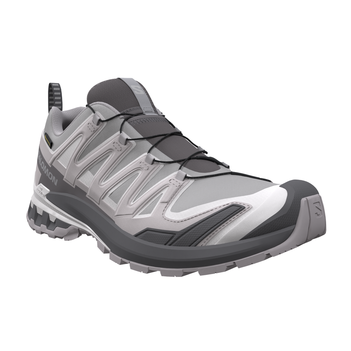 Salomon XA Pro 3D V9 GTX Alloy/Clrock/Lunro Trainers — view 5