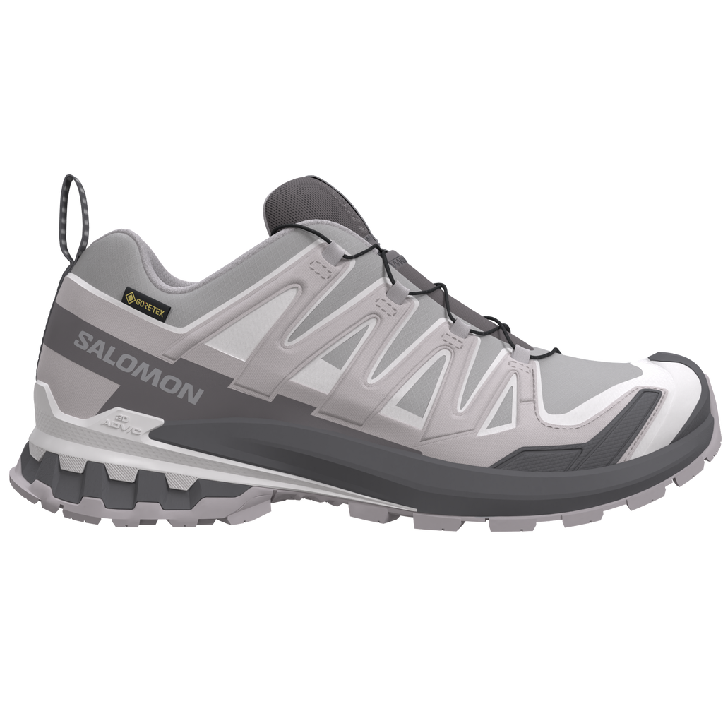Salomon XA Pro 3D V9 GTX Alloy/Clrock/Lunro Trainers