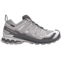 Salomon XA Pro 3D V9 GTX Alloy/Clrock/Lunro Trainers