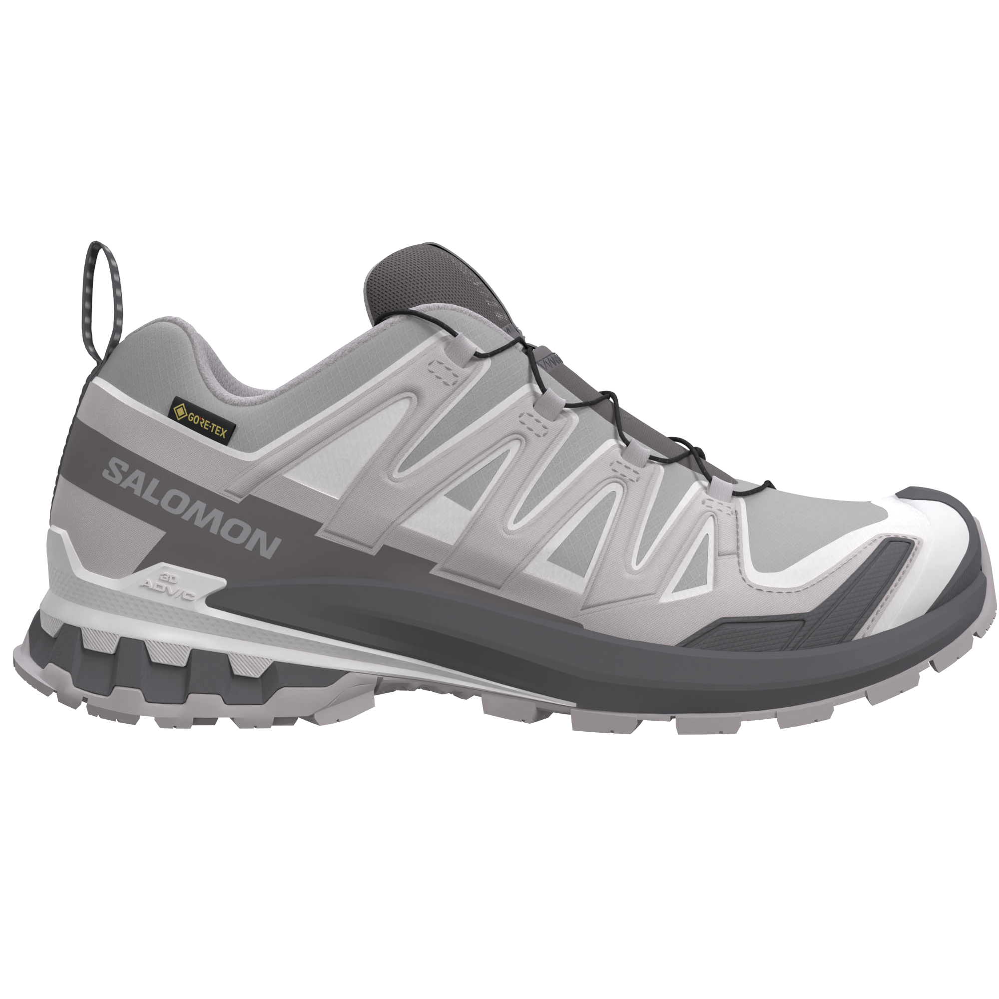 Salomon XA Pro 3D V9 GTX Alloy/Clrock/Lunro Trainers