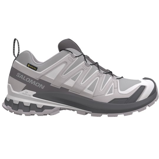 Salomon XA Pro 3D V9 GTX Alloy/Clrock/Lunro Trainers