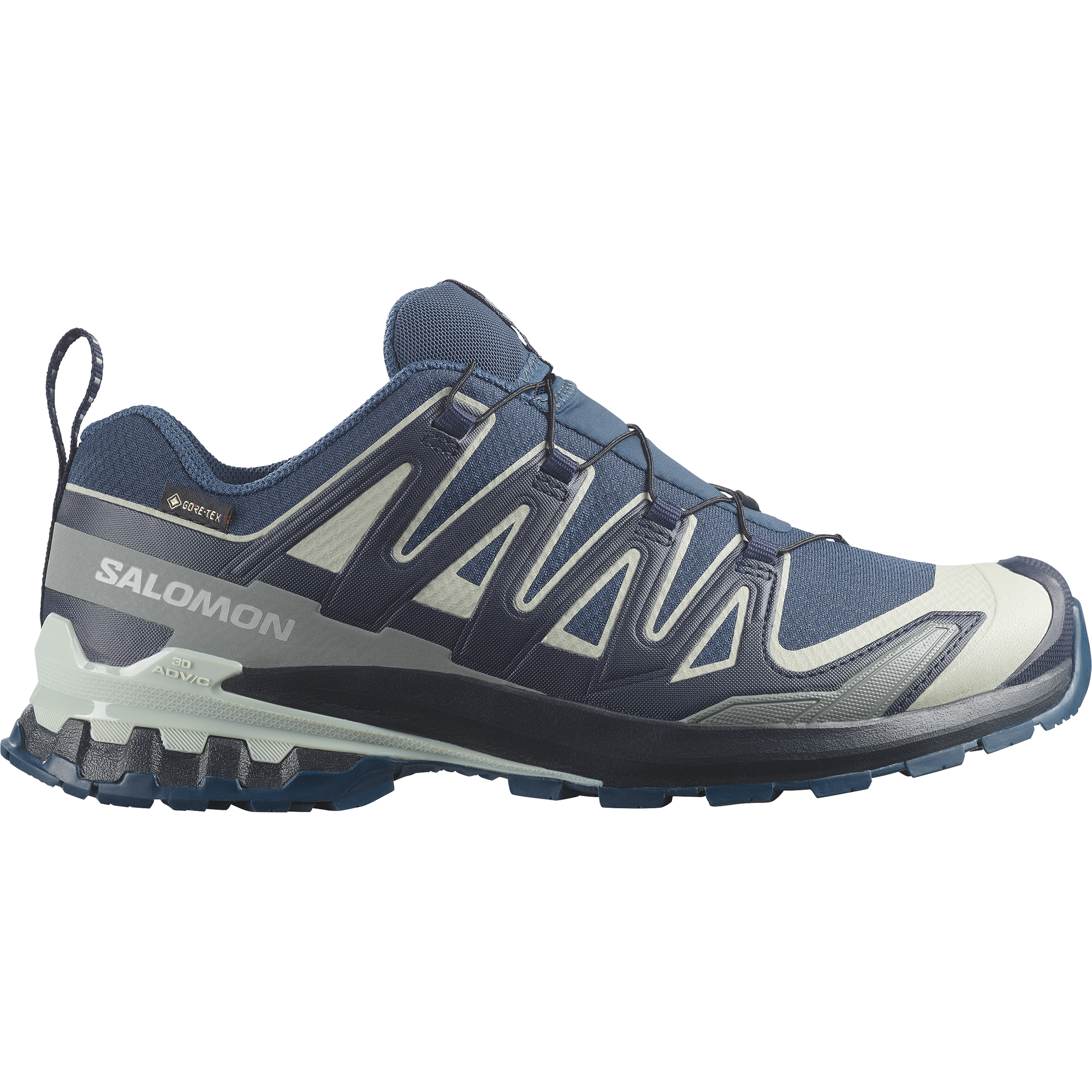 Salomon XA Pro 3D V9 GTX Spellbound/Maritime Blue Trainers