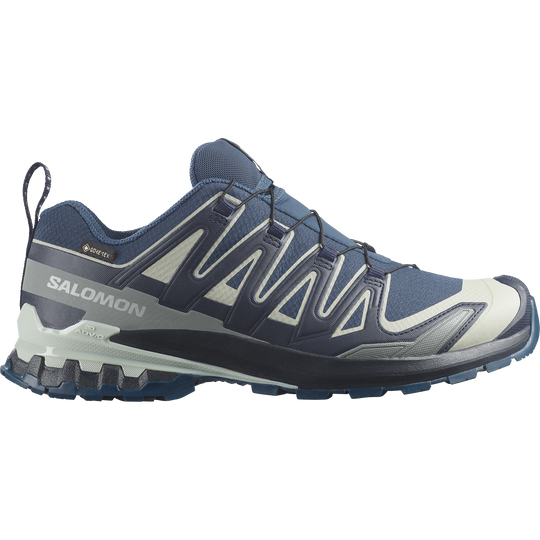Salomon XA Pro 3D V9 GTX Spellbound/Maritime Blue Trainers