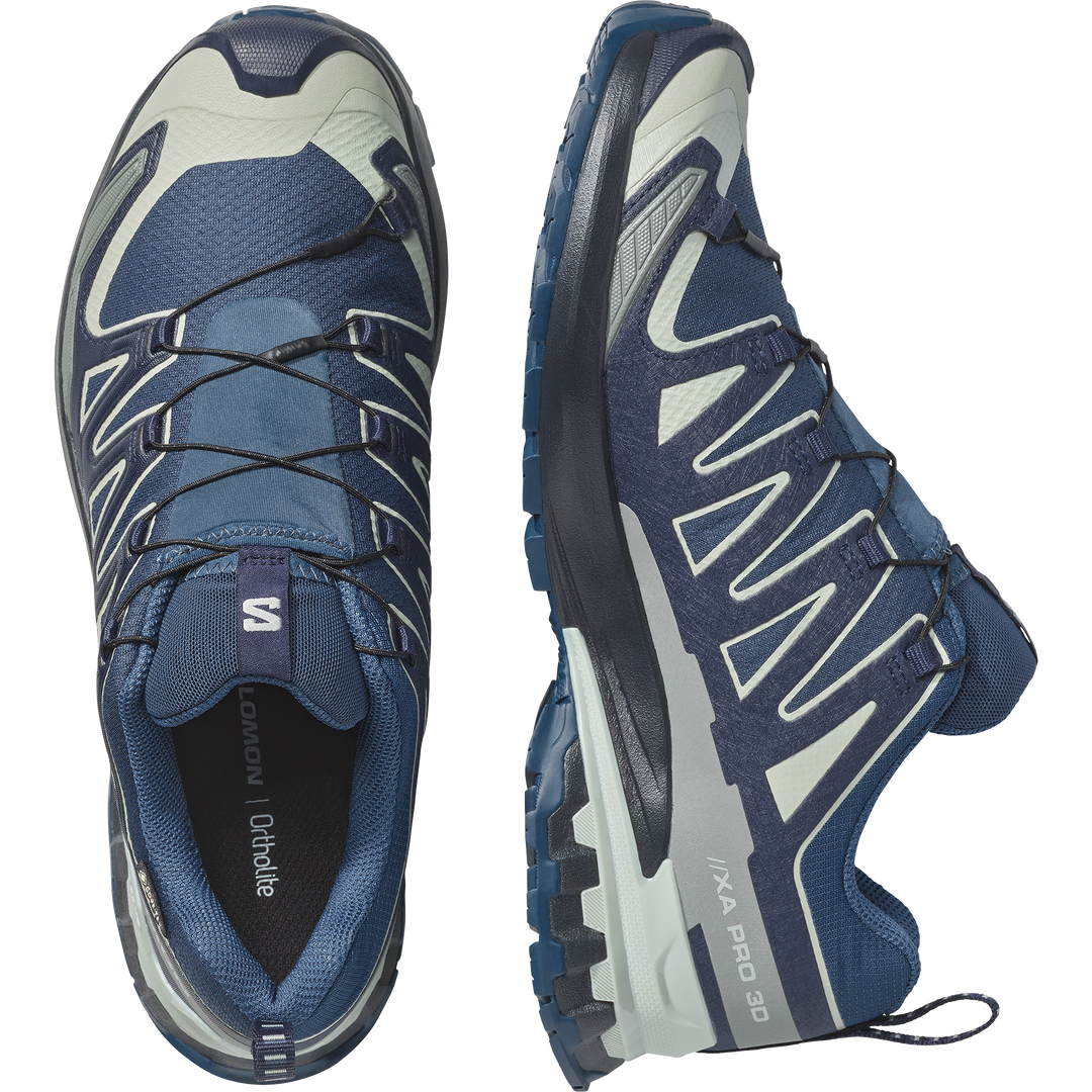 Salomon XA Pro 3D V9 GTX Spellbound/Maritime Blue Trainers