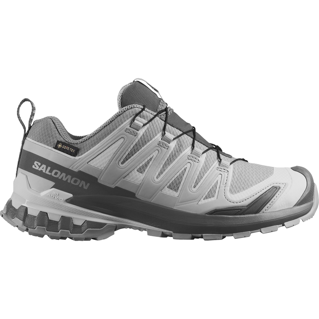 Salomon XA Pro 3D V9 GTX Alloy/Clrock/Lunro Trainers