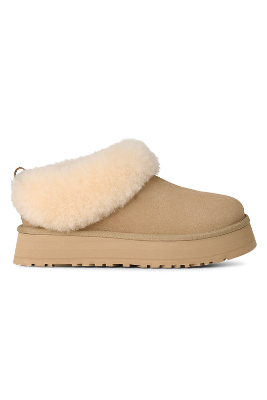 Women's UGG Tazzelle in Mustard Seed