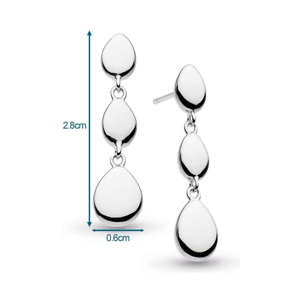 Silver drop earrings.