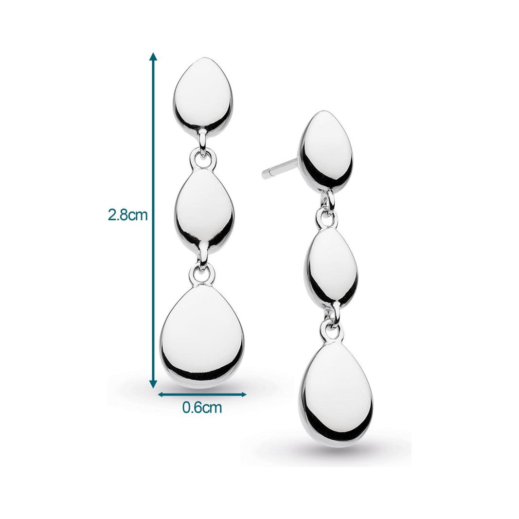 Silver drop earrings.