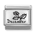 Nomination Composable Silver December Flower Charm 330112/24