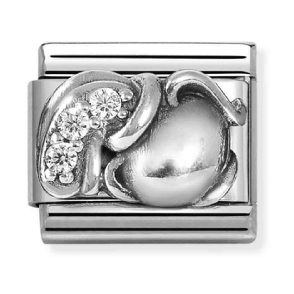 Nomination Composable Silver CZ Zodiac Aquarius Charm 330326/11