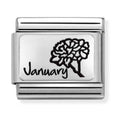 Nomination Composable Silver January Flower Charm 330112/13
