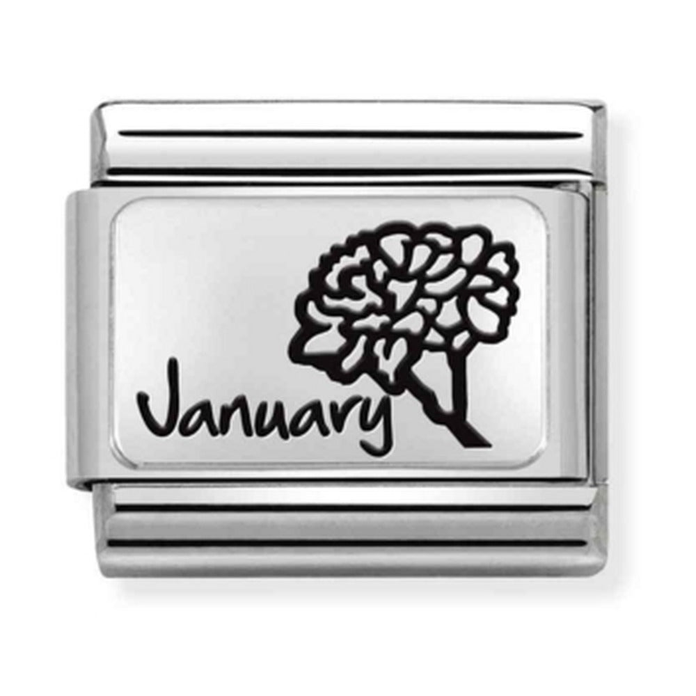 Nomination Composable Silver January Flower Charm 330112/13