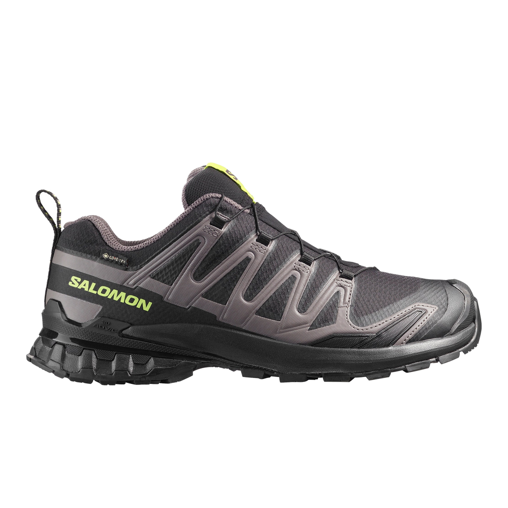 Men's Salomon XA Pro 3D V9 GTX Black Dark Gull Trainers