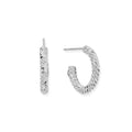 ChloBo Entwined Passion Hoop Earrings SEH3208