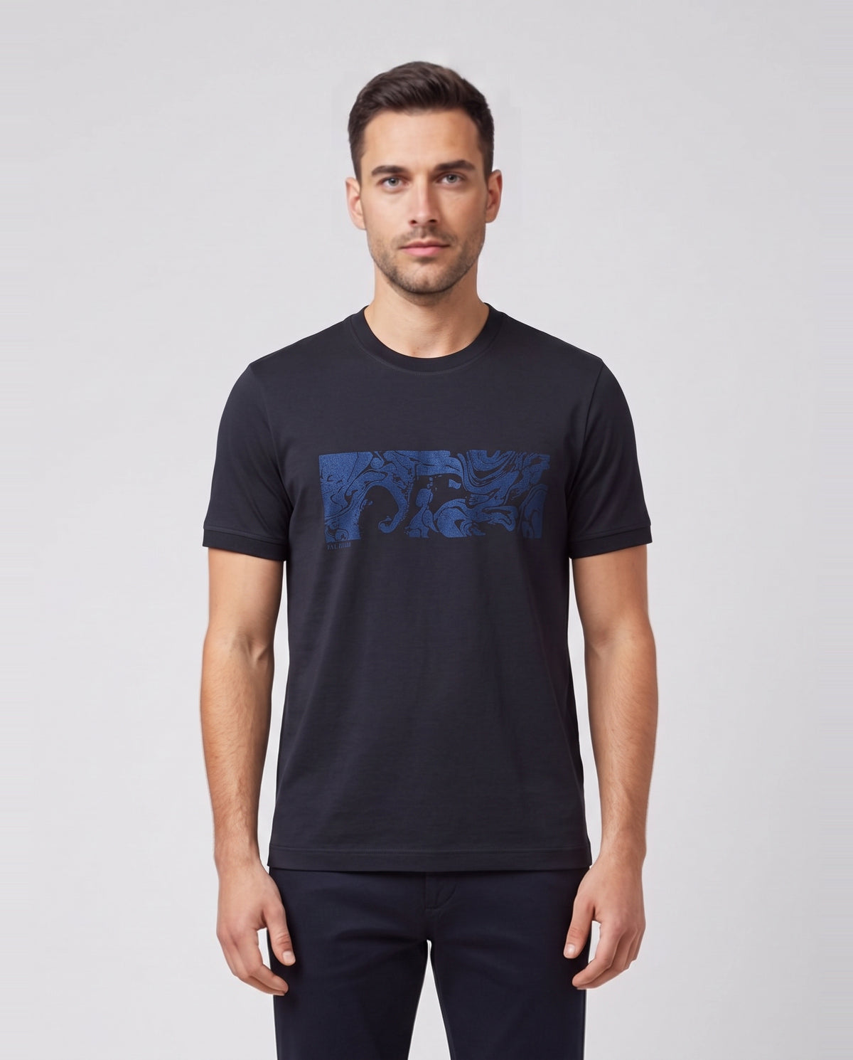 Men's Pal Zileri T-Shirt Graphic Print Navy — on model