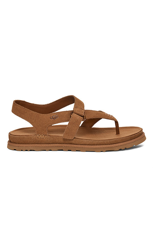 Women's UGG Goldengaze Toe Post in Chestnut